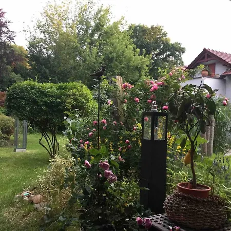 Tinyhaus * Woltersdorf (Brandenburg)